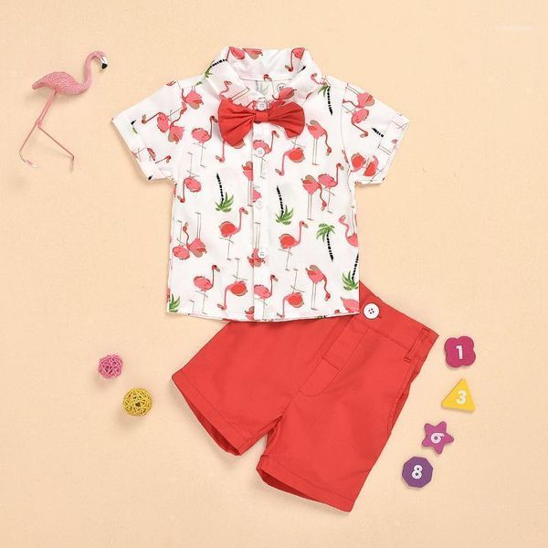 fashion boys clothing summer boy set children suit flamingo print shirt + shorts 2pcs kids sets1, White
fashion boys clothing summer boy set children suit flamingo print shirt + shorts 2pcs kids sets1, White