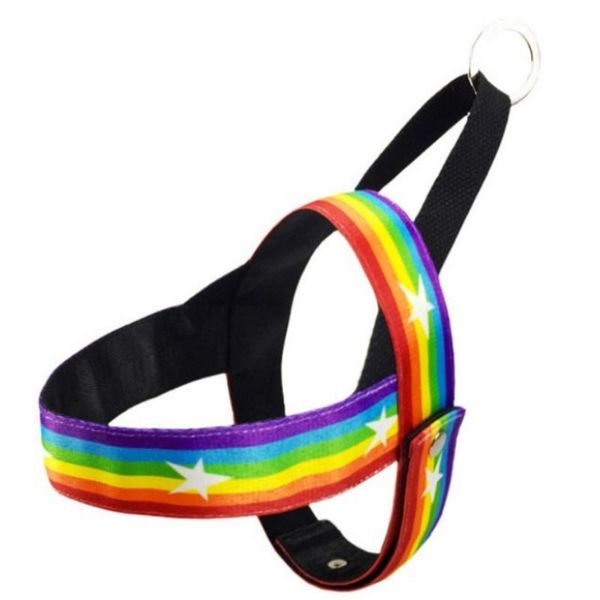 dog collars & leashes pet supplies harness leash suit bundled chest traction color small medium-sized collar
dog collars & leashes pet supplies harness leash suit bundled chest traction color small medium-sized collar