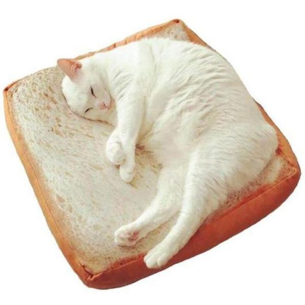 cute omelette pet blankets puppy toast cat short plush mat durable warm poached eggs blanket mats for small dog and s2 kennels & pens
cute omelette pet blankets puppy toast cat short plush mat durable warm poached eggs blanket mats for small dog and s2 kennels & pens