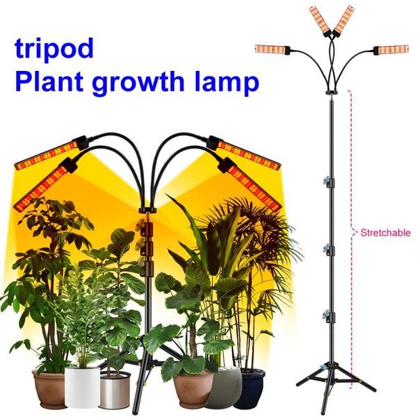 grow light usb phyto lamp full spectrum tripod plant with control for plants seedlings flower indoor box lights
grow light usb phyto lamp full spectrum tripod plant with control for plants seedlings flower indoor box lights