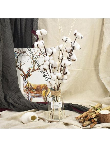 decorative flowers & wreaths pure natural dried cotton flower stem farmhouse man artificial home wedding decoration fake plant po prop decor
decorative flowers & wreaths pure natural dried cotton flower stem farmhouse man artificial home wedding decoration fake plant po prop decor