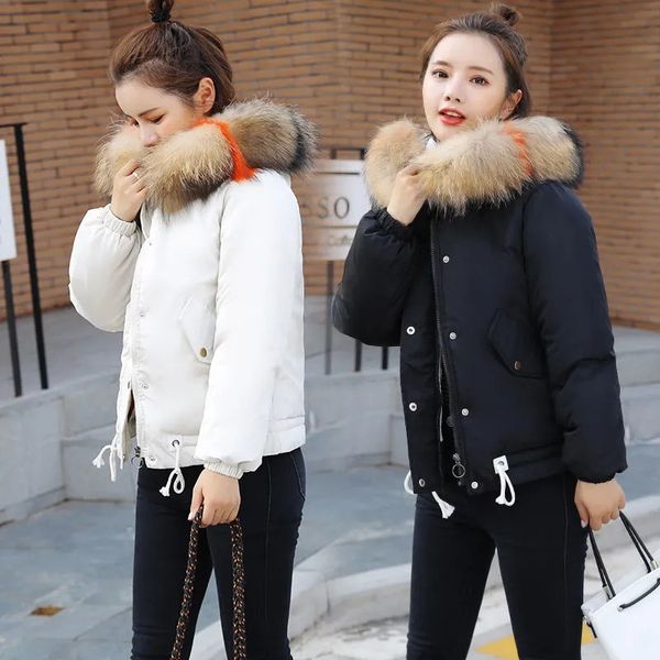 women's jackets winter jacket short female parkas fur collar cotton padded parka outerwear plus size 9860, Black;brown
women's jackets winter jacket short female parkas fur collar cotton padded parka outerwear plus size 9860, Black;brown