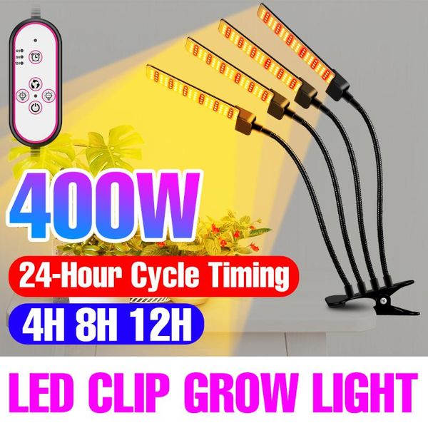 grow lights 12v flexible phyto lamp led clip plant light full spectrum lighting 100w 200w 300w 400w fitolampy indoor flower growth tent
grow lights 12v flexible phyto lamp led clip plant light full spectrum lighting 100w 200w 300w 400w fitolampy indoor flower growth tent