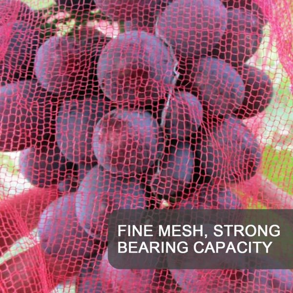 shade 100pcs bag to protect grapes orange breathable with gauze mesh belt rope wear-resistant from pests insects and pest
shade 100pcs bag to protect grapes orange breathable with gauze mesh belt rope wear-resistant from pests insects and pest
