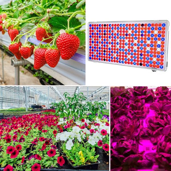led spectrum phyto panel light indoor plant growing floodlight greenhouse flowers seedlings cultivation lighting lamp grow lights
led spectrum phyto panel light indoor plant growing floodlight greenhouse flowers seedlings cultivation lighting lamp grow lights