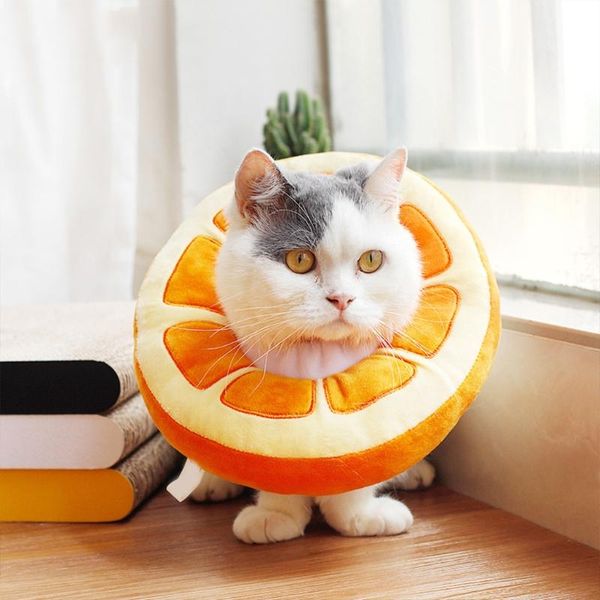 fruit shaped adjustable cute pet dog cat recovery collar neck cone protection collars & leads
fruit shaped adjustable cute pet dog cat recovery collar neck cone protection collars & leads
