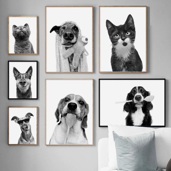 paintings black white border collie dog cat po custom art canvas painting nordic posters and prints wall picturs for living room decor
paintings black white border collie dog cat po custom art canvas painting nordic posters and prints wall picturs for living room decor