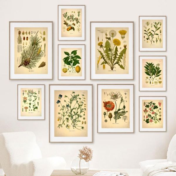 paintings pine cones dandelion vintage plant wall art canvas painting nordic posters and prints pictures for living room decor
paintings pine cones dandelion vintage plant wall art canvas painting nordic posters and prints pictures for living room decor