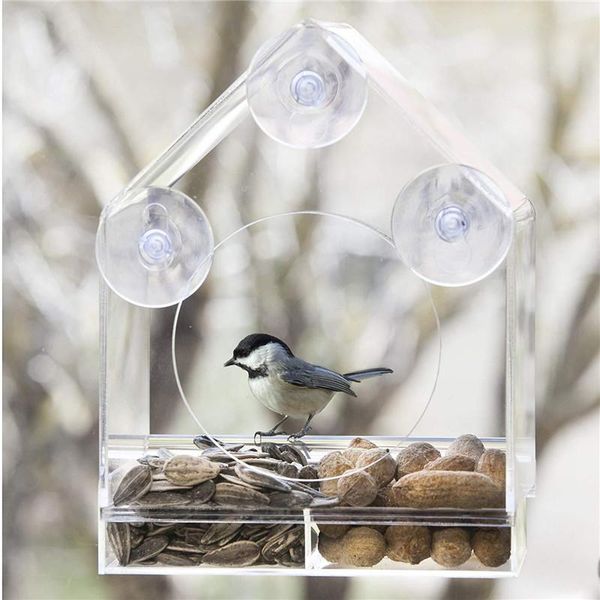 other bird supplies vogvigo transparent feeder window viewing el table seed with suckers birds hanging cage
other bird supplies vogvigo transparent feeder window viewing el table seed with suckers birds hanging cage