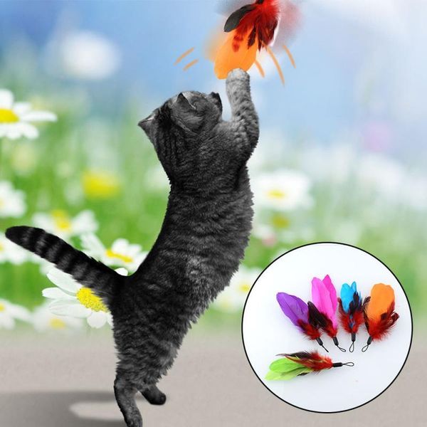 cat toys pet teasing stick pompom feather accessories funny kitten interactive for household animals cats entertainment supplies
cat toys pet teasing stick pompom feather accessories funny kitten interactive for household animals cats entertainment supplies