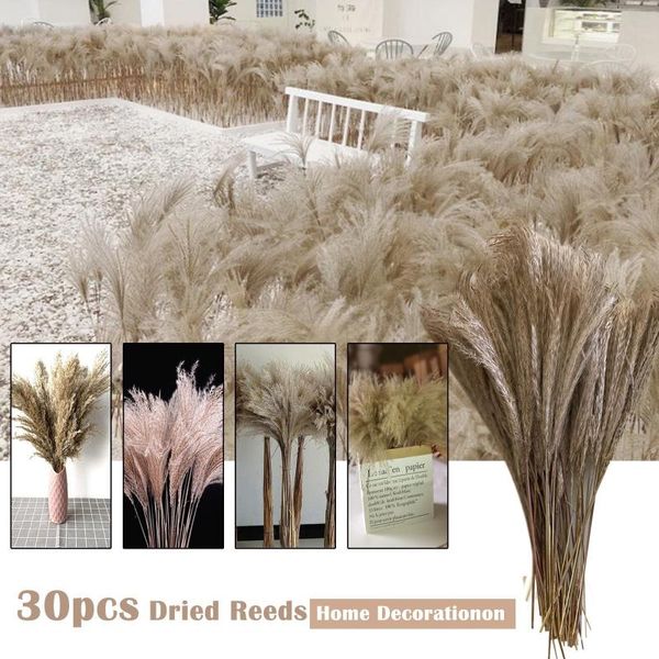 30/50pcs natural dried flowers bouquet reed wheat ears setaria dried flower bouquet home office cafe decorative props #40
30/50pcs natural dried flowers bouquet reed wheat ears setaria dried flower bouquet home office cafe decorative props #40