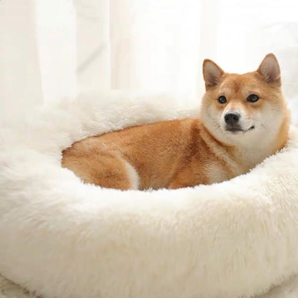 kennels & pens sleep soft cat dog bed warm round kennel comfortable calm pet small medium large cushion mat washable house
kennels & pens sleep soft cat dog bed warm round kennel comfortable calm pet small medium large cushion mat washable house