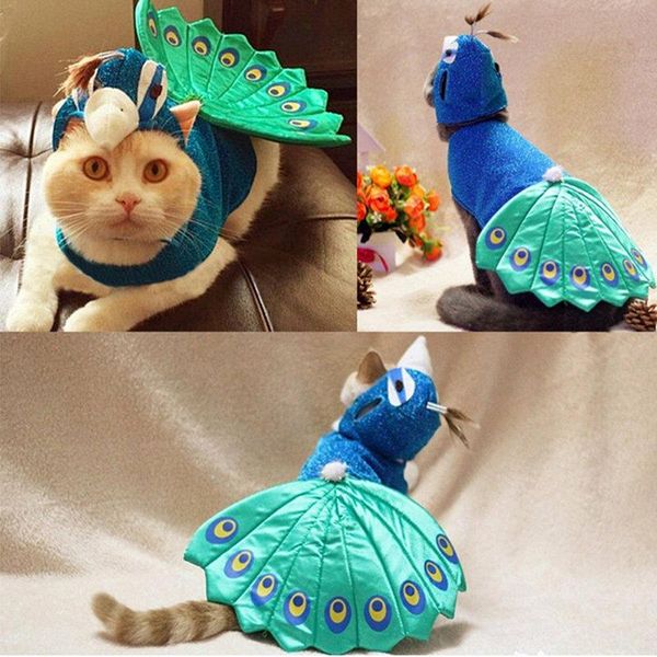 pet jacket comfortable coat adorable costume with blue peacock head shape hats cat dog clothes costumes
pet jacket comfortable coat adorable costume with blue peacock head shape hats cat dog clothes costumes