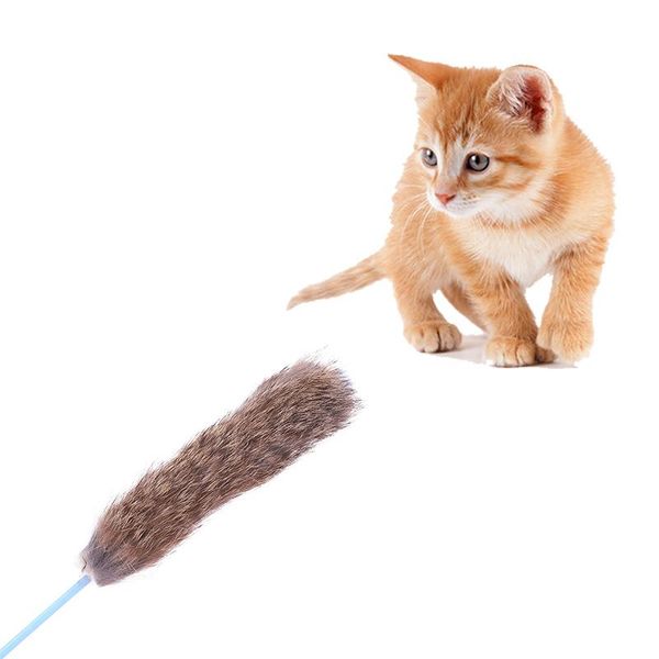 cat toys suppies toy interactive feather stick teaser colorful turkey feathers tease funny pet for
cat toys suppies toy interactive feather stick teaser colorful turkey feathers tease funny pet for