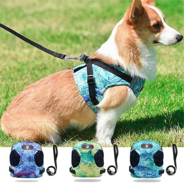 pet safety leash reflective puppy traction rope harness dog soft breathable vest chest supplies collars & leashes
pet safety leash reflective puppy traction rope harness dog soft breathable vest chest supplies collars & leashes