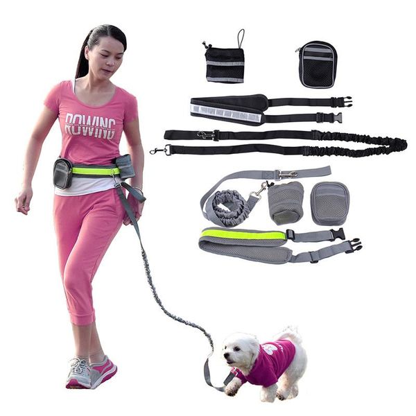 dog collars & leashes elastic belt running reflective leash lead sports jogging walking pet collar rope hand waist set 5
dog collars & leashes elastic belt running reflective leash lead sports jogging walking pet collar rope hand waist set 5