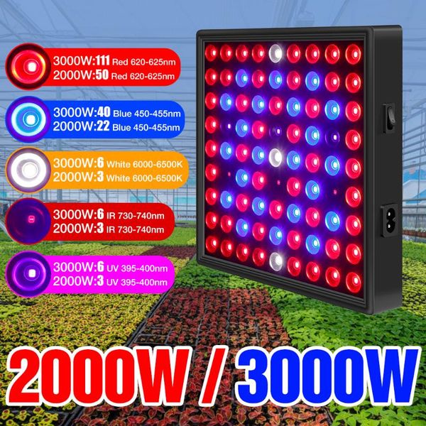 growing lamp led plant light 110v full spectrum hydroponic bulb 2000w 3000w fitolampy for indoor flower growth box lighting grow lights
growing lamp led plant light 110v full spectrum hydroponic bulb 2000w 3000w fitolampy for indoor flower growth box lighting grow lights
