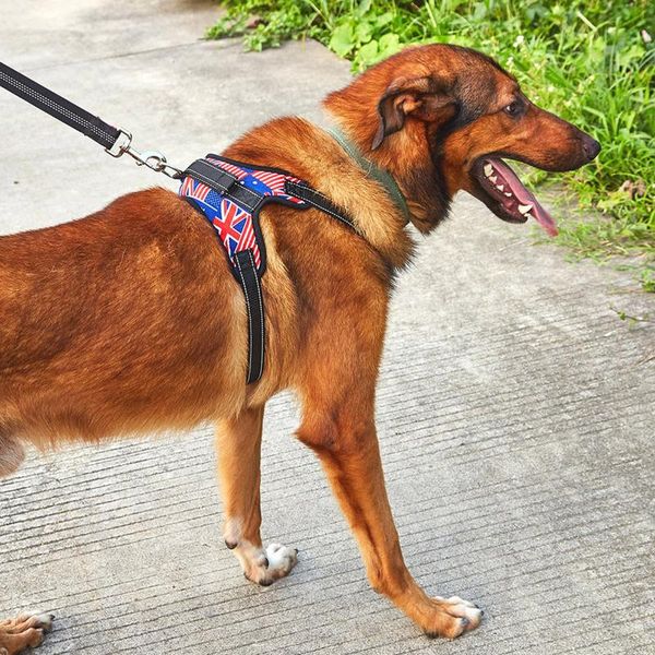 dog reflective harness, adjustable soft padded pet vest with easy control handle for dogs collars & leashes
dog reflective harness, adjustable soft padded pet vest with easy control handle for dogs collars & leashes