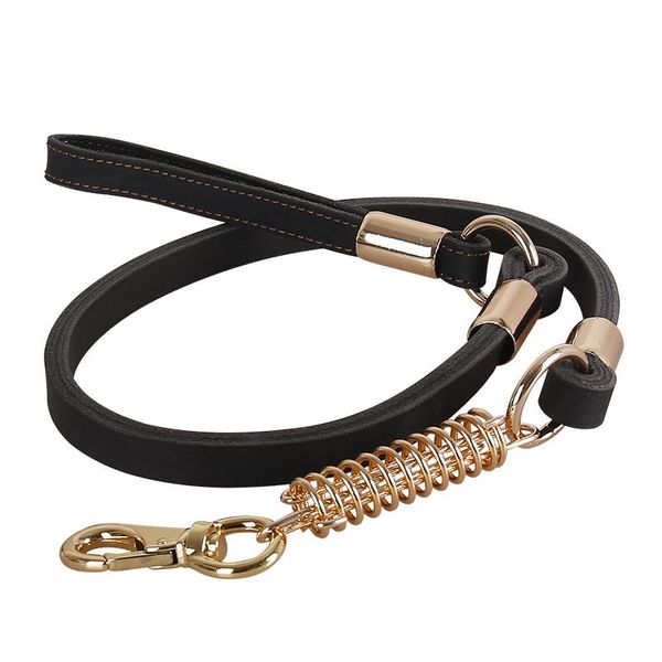 small reflective pet dog leash set rope collar running tracking leashes walking training oo50xq collars &
small reflective pet dog leash set rope collar running tracking leashes walking training oo50xq collars &