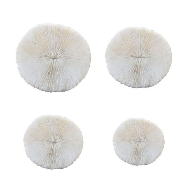 decorations 77jf coral ornaments aquarium decor round mushroom shaped natural shell white for fish tank decoration 4 sizes
decorations 77jf coral ornaments aquarium decor round mushroom shaped natural shell white for fish tank decoration 4 sizes
