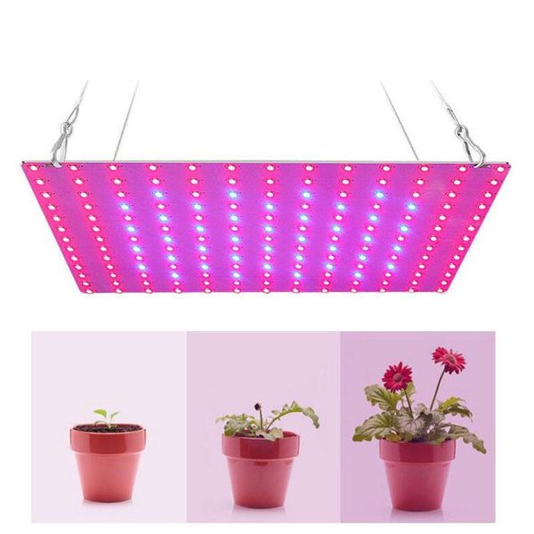 grow lights powerful led plant light lamp phytolamp for flower 2835 beads growth lighting full spectrum indoor hydroponics ligh u27
grow lights powerful led plant light lamp phytolamp for flower 2835 beads growth lighting full spectrum indoor hydroponics ligh u27