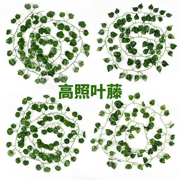 decorative flowers & wreaths model ivy rattan encryption vine green leaf plant leaves vegetation
decorative flowers & wreaths model ivy rattan encryption vine green leaf plant leaves vegetation