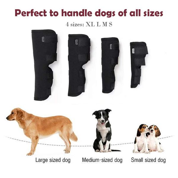 leg protector compression rear joint wrap protect pad heal wounds injury puppy injured dog apparel
leg protector compression rear joint wrap protect pad heal wounds injury puppy injured dog apparel