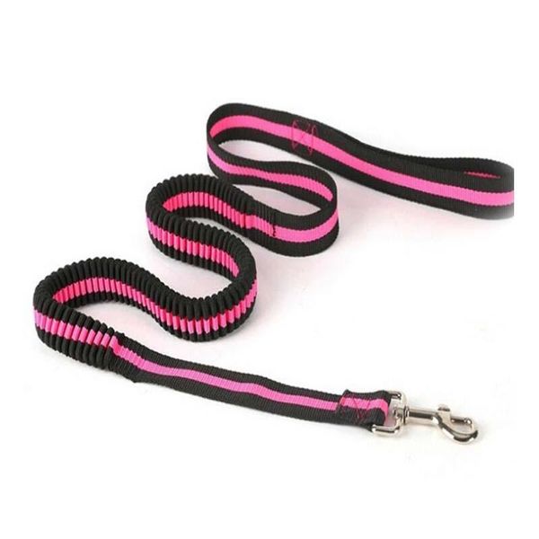 dog collars & leashes 120cm durable puppy nylon leash pet rope elastic supplies collar harness
dog collars & leashes 120cm durable puppy nylon leash pet rope elastic supplies collar harness