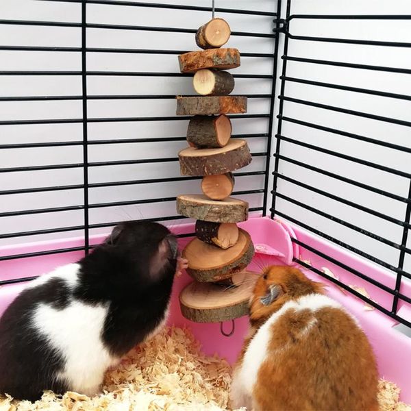 other bird supplies pet chew toy apple wooden material tooth grinding toys for hamster chinchilla small animals cage pendant
other bird supplies pet chew toy apple wooden material tooth grinding toys for hamster chinchilla small animals cage pendant