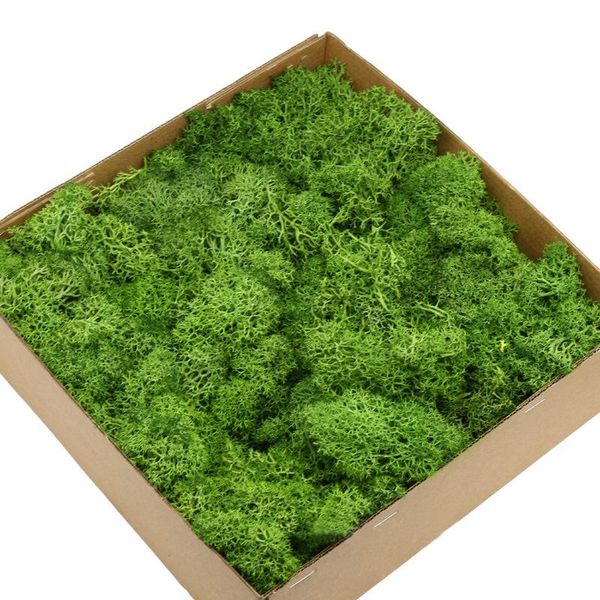 decorative flowers & wreaths 200g artificial green plants eternal life moss grass home living room garden decoration mini landscape fake flo
decorative flowers & wreaths 200g artificial green plants eternal life moss grass home living room garden decoration mini landscape fake flo