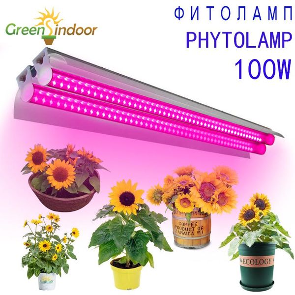 grow light led phytolamp full spectrum plants 2 tube bars for seedlings flower growing tent hydroponics system cultivation 100w lights
grow light led phytolamp full spectrum plants 2 tube bars for seedlings flower growing tent hydroponics system cultivation 100w lights