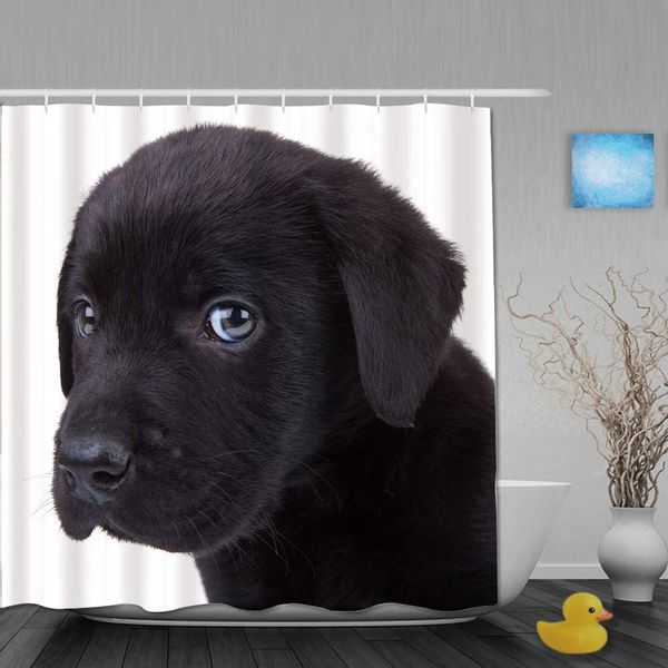 shower curtain for home decor,cute little black labrador retriever puppy looking at the camera,fabric bathroom curtain durable
shower curtain for home decor,cute little black labrador retriever puppy looking at the camera,fabric bathroom curtain durable