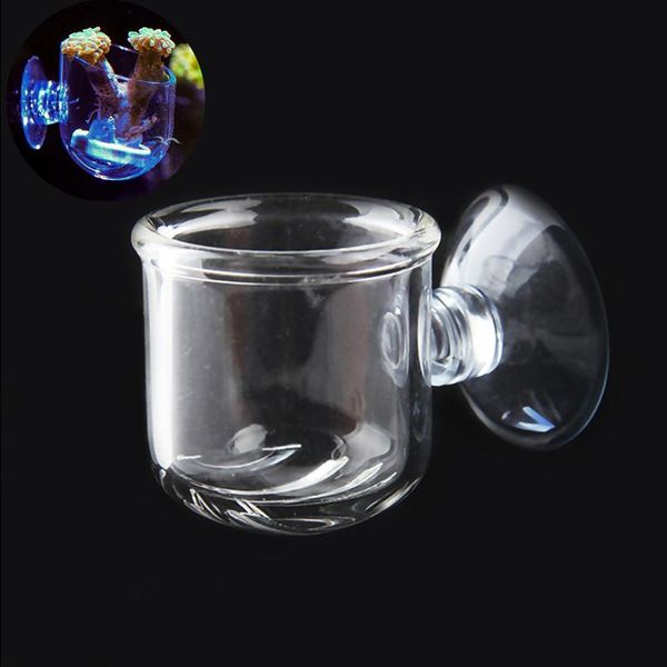 mini acrylic red worm fish feeding cup aquarium decoration water grass plant pot coral container decorations
mini acrylic red worm fish feeding cup aquarium decoration water grass plant pot coral container decorations