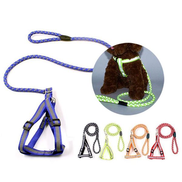 dog collars & leashes reflective round rope leash harness luminescence pet chain outdoor night out luminous glow dark
dog collars & leashes reflective round rope leash harness luminescence pet chain outdoor night out luminous glow dark