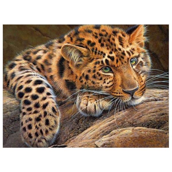 diamond painting 100% full 5d diy daimond "animal leopard" 3d round rhinestones diamant embroidery animals
diamond painting 100% full 5d diy daimond "animal leopard" 3d round rhinestones diamant embroidery animals