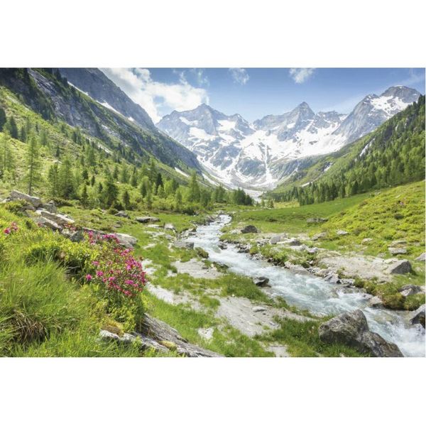 party decoration natural scenery backdrop river under the snow mountain pography background decor born wedding po booth prop
party decoration natural scenery backdrop river under the snow mountain pography background decor born wedding po booth prop