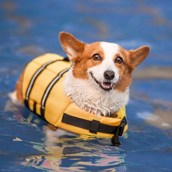 dog apparel life safety vest reflective stripe jacket clothes swimwear pets swimming suit
dog apparel life safety vest reflective stripe jacket clothes swimwear pets swimming suit