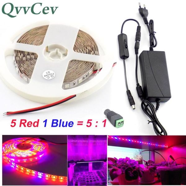 qvvcev led grow strip light 12v 2a/3a 1m 2m 3m 5m 5 red 1 blue waterproof plants lamp for greenhouse hydroponics+adapter+switch lights
qvvcev led grow strip light 12v 2a/3a 1m 2m 3m 5m 5 red 1 blue waterproof plants lamp for greenhouse hydroponics+adapter+switch lights