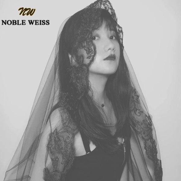 bridal veils one-layer black mantilla wedding veil without comb lace trim halloween cosplay costume hair accessories
bridal veils one-layer black mantilla wedding veil without comb lace trim halloween cosplay costume hair accessories