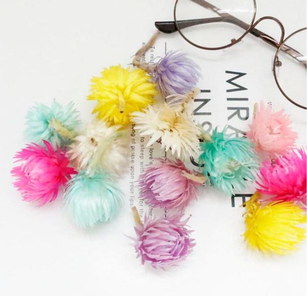 10pcs Dried Chrysanthemum Flowers Head Preserved Flower For Wedding Party Home El Decoration DIY Bouquet Accessory Decorative & Wreaths
10pcs Dried Chrysanthemum Flowers Head Preserved Flower For Wedding Party Home El Decoration DIY Bouquet Accessory Decorative & Wreaths