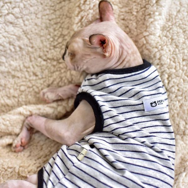 cat costumes easy to wear sphinx hairless devon rex clothes short-legged pure cotton sleeveless vest summer thin pet clothing for cats
cat costumes easy to wear sphinx hairless devon rex clothes short-legged pure cotton sleeveless vest summer thin pet clothing for cats