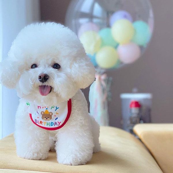dog apparel cute bear birthday embroidery bib pet saliva towel bichon teddy hiromi bandana cat accessories bow tie
dog apparel cute bear birthday embroidery bib pet saliva towel bichon teddy hiromi bandana cat accessories bow tie