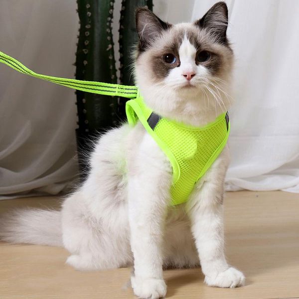 cat collars & leads reflective adjustable harness vest walking straps lead leash kitten dog puppy outdoor jacke yellowish green
cat collars & leads reflective adjustable harness vest walking straps lead leash kitten dog puppy outdoor jacke yellowish green