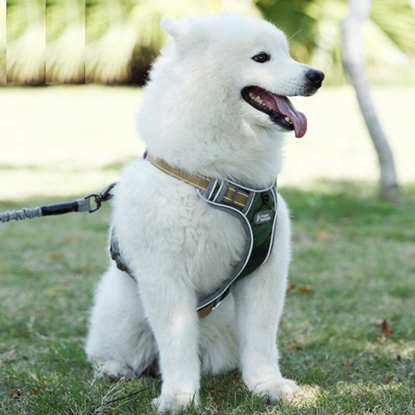 dog collars & leashes harness no pull reflective breathable adjustable pet vest outdoor walking supplies breast sling leash
dog collars & leashes harness no pull reflective breathable adjustable pet vest outdoor walking supplies breast sling leash