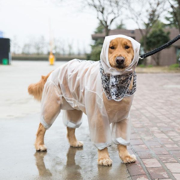 dog apparel big raincoat four-foot waterproof all-inclusive golden retriever clothes pet shiba inu samoyed large labrador
dog apparel big raincoat four-foot waterproof all-inclusive golden retriever clothes pet shiba inu samoyed large labrador