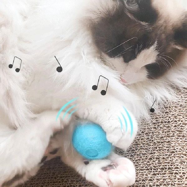 smart touch called ball pet supplies gravity insect calling cat toys wool sounding interactive toy catnip
smart touch called ball pet supplies gravity insect calling cat toys wool sounding interactive toy catnip