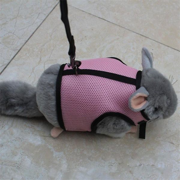 dog apparel spot wholesale ferret dutch pig guinea traction belt pet rope clothes
dog apparel spot wholesale ferret dutch pig guinea traction belt pet rope clothes