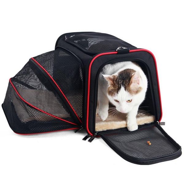 pet carrier expandable soft dog cat outdoor handbag puppy two side expansion for small dogs cats travel bag car seat covers
pet carrier expandable soft dog cat outdoor handbag puppy two side expansion for small dogs cats travel bag car seat covers