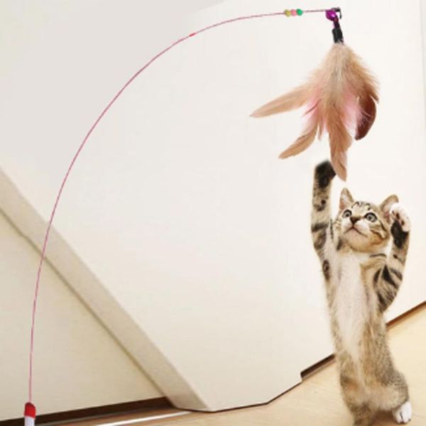 cat toys natural pearl feather stick durable interactive pet toy with bell for funny exercising responsiveness
cat toys natural pearl feather stick durable interactive pet toy with bell for funny exercising responsiveness