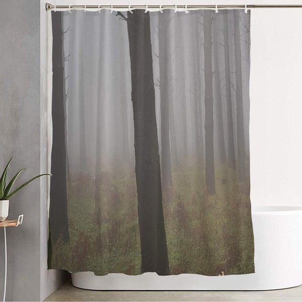 shower curtain with hooks pine in woods modern forest aspromonte fog calabria nature parks fashion italy trees outdoor misty
shower curtain with hooks pine in woods modern forest aspromonte fog calabria nature parks fashion italy trees outdoor misty
